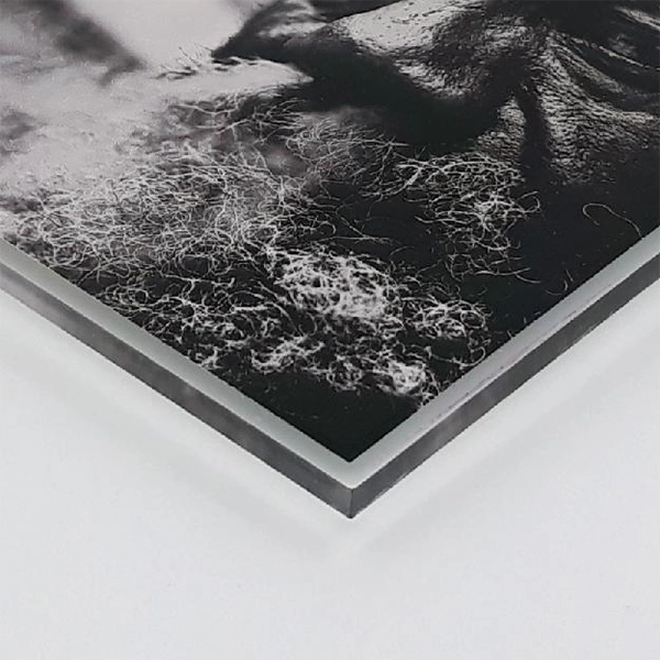 PLEXIGLAS TRANSPARENT PLEXIGLAS TRANSPARENT